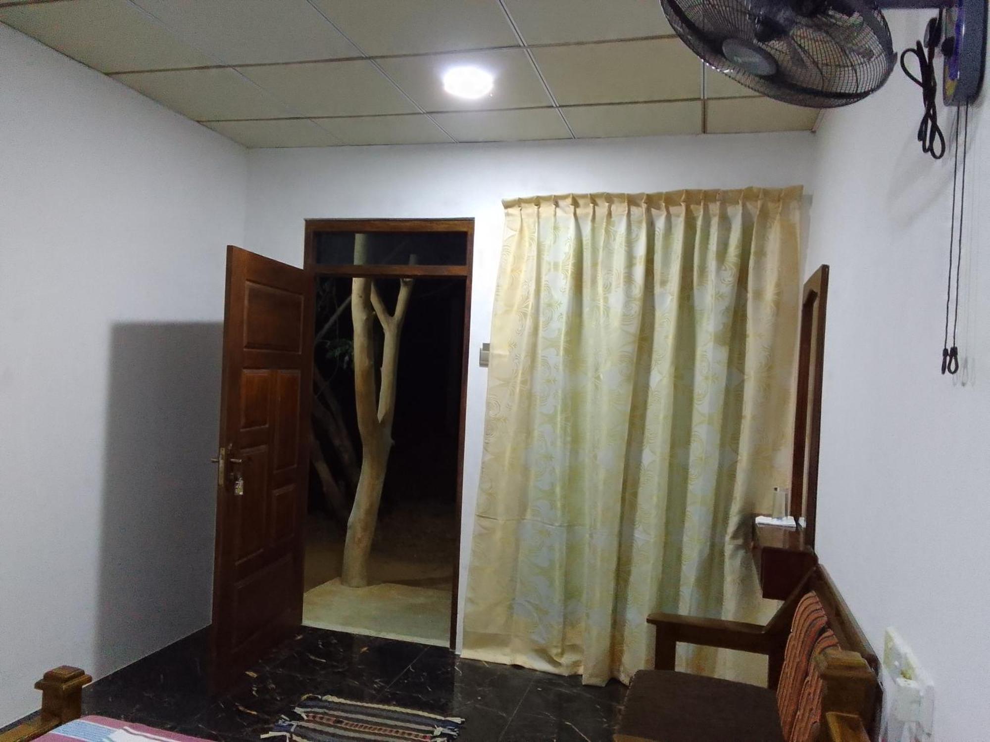 Wilpattu Buma Homestay Pahala Maragahawewa Eksteriør bilde
