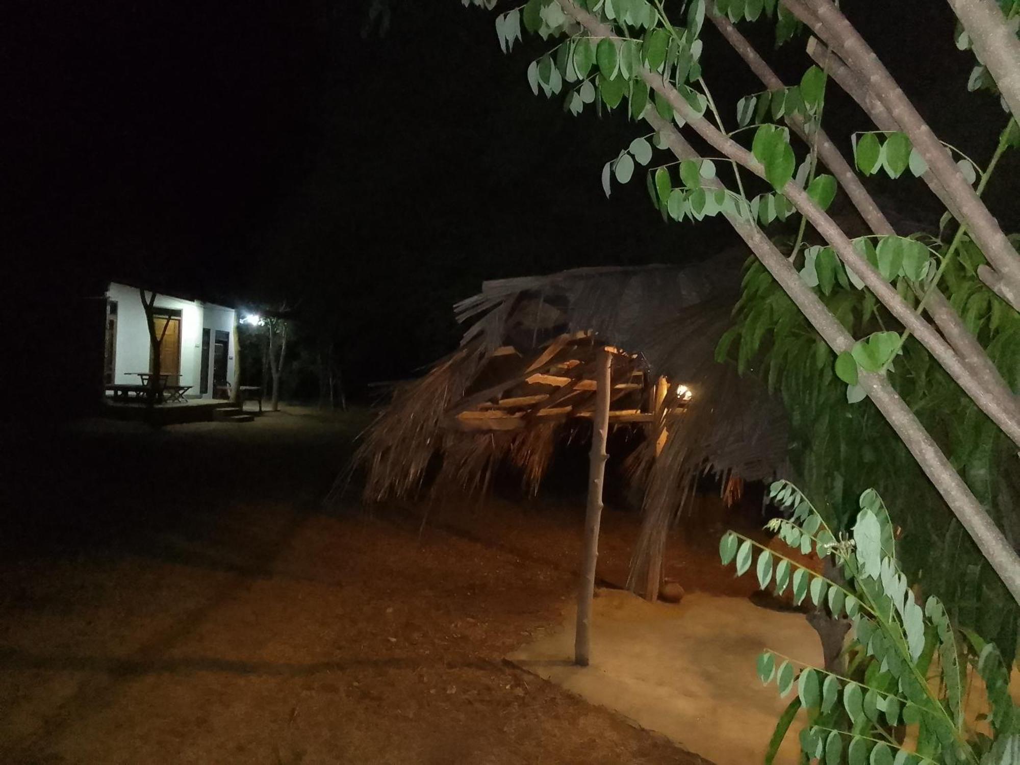 Wilpattu Buma Homestay Pahala Maragahawewa Eksteriør bilde