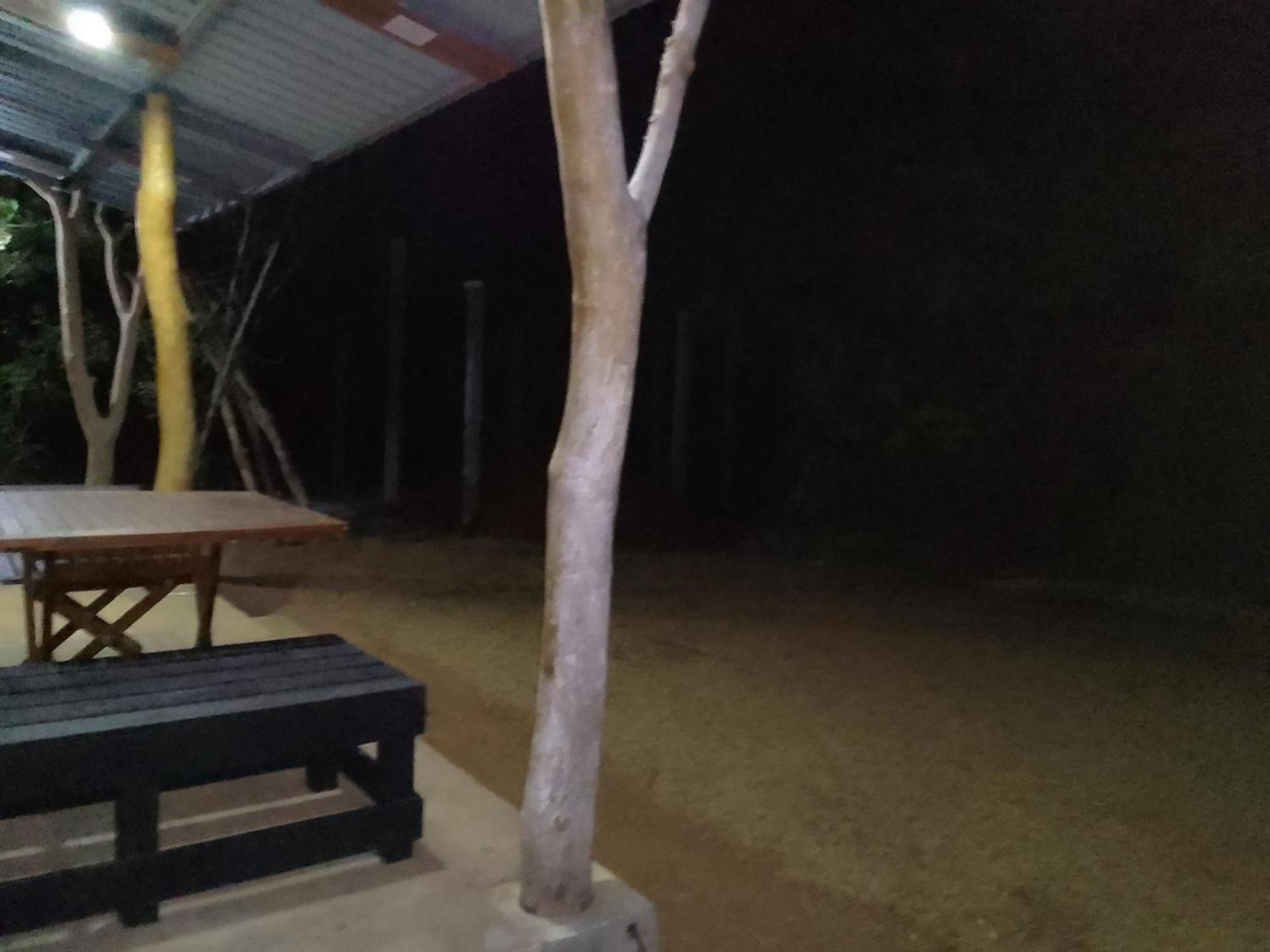 Wilpattu Buma Homestay Pahala Maragahawewa Eksteriør bilde