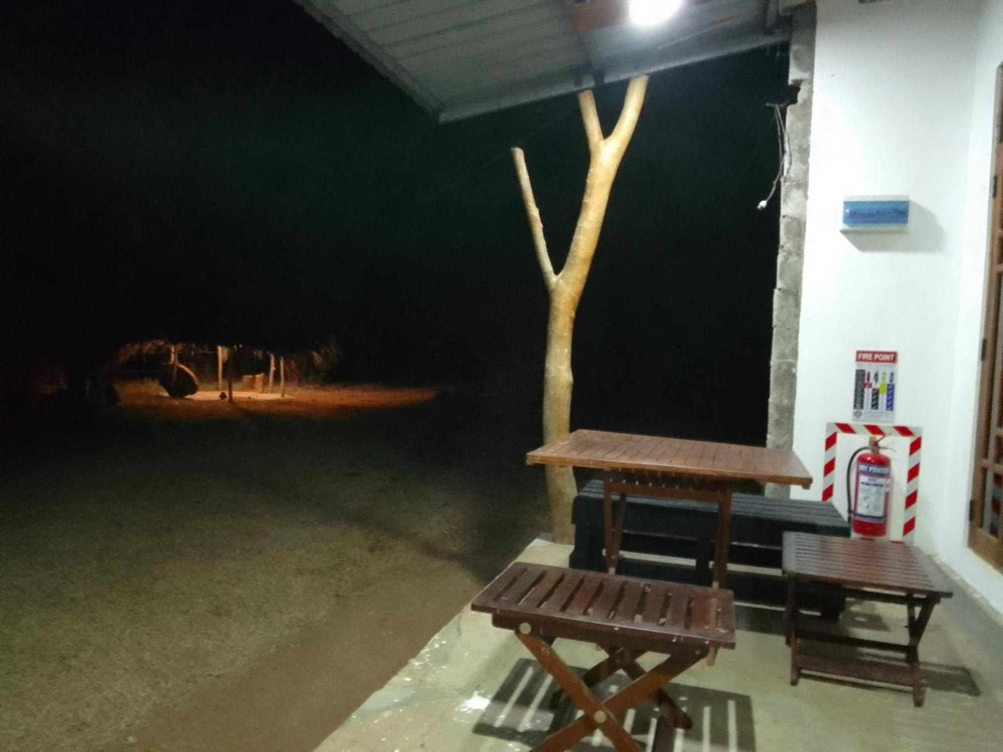 Wilpattu Buma Homestay Pahala Maragahawewa Eksteriør bilde