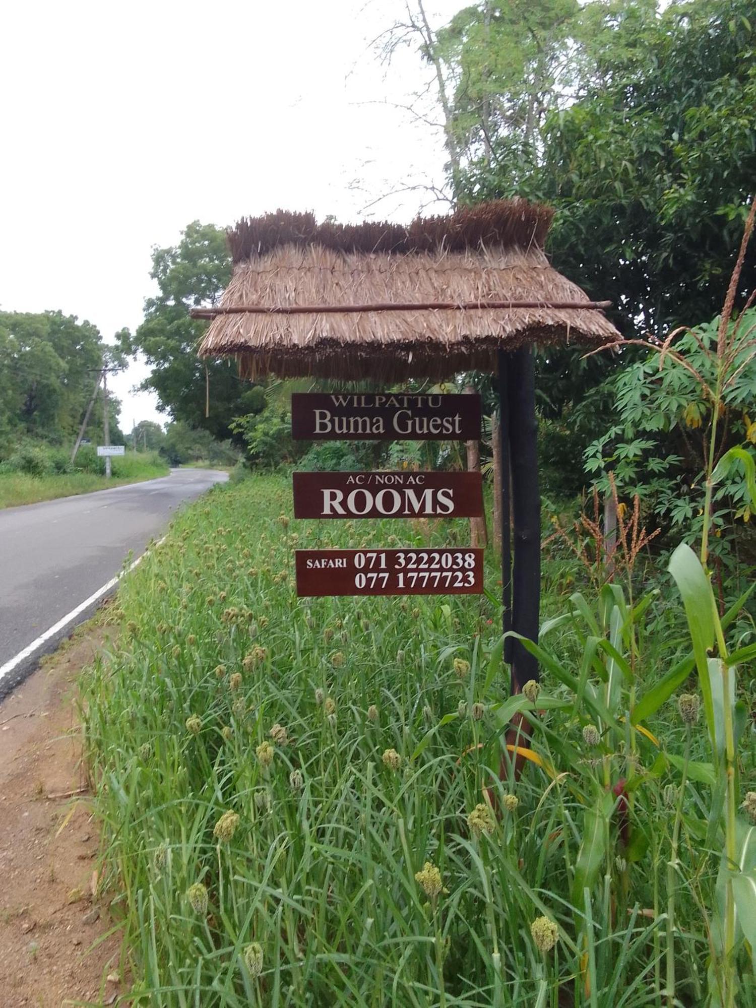 Wilpattu Buma Homestay Pahala Maragahawewa Eksteriør bilde