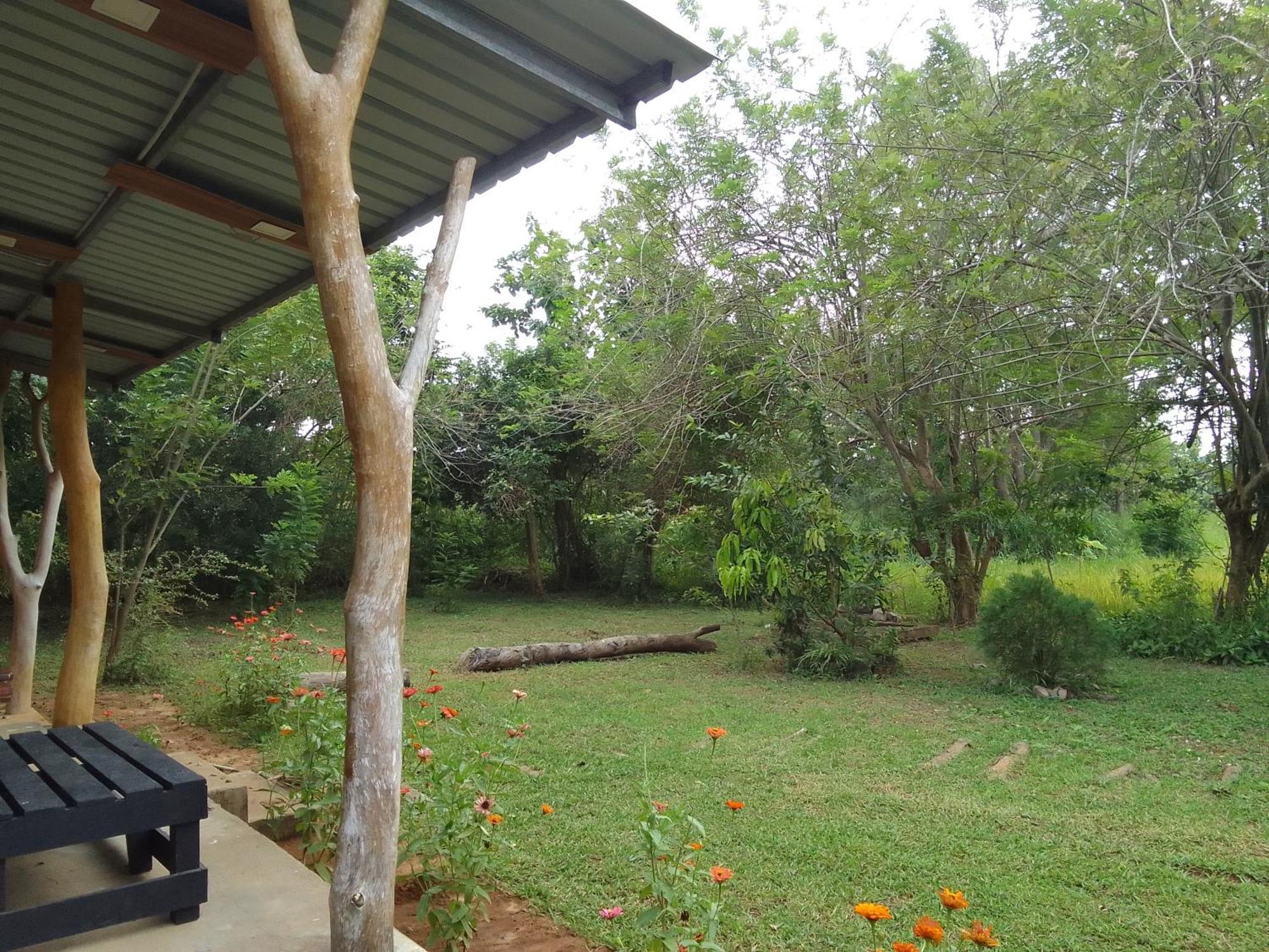 Wilpattu Buma Homestay Pahala Maragahawewa Eksteriør bilde